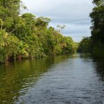 Vivre des moments mémorables lors d’un séjour au Costa Rica