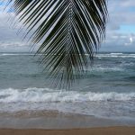 La Martinique : une destination incontournable pour les vacances