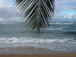 La Martinique : une destination incontournable pour les vacances