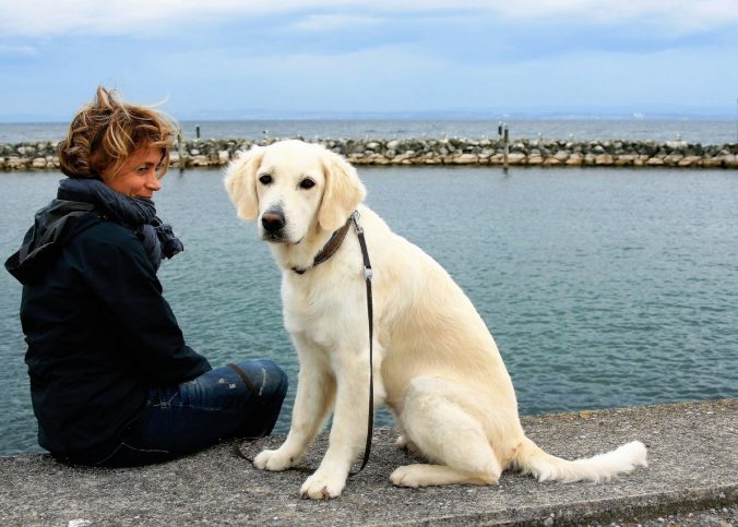 Etablir une relation de confiance avec votre chien : ce qu’il faut savoir
